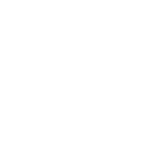 LeSpot Logo